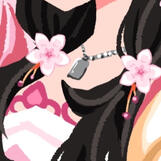 Sakura Hairclips and Dog Tag Necklace